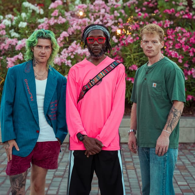 Too Many Zooz