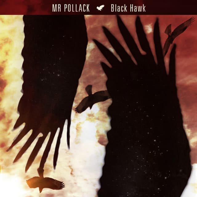 Mr. Pollack