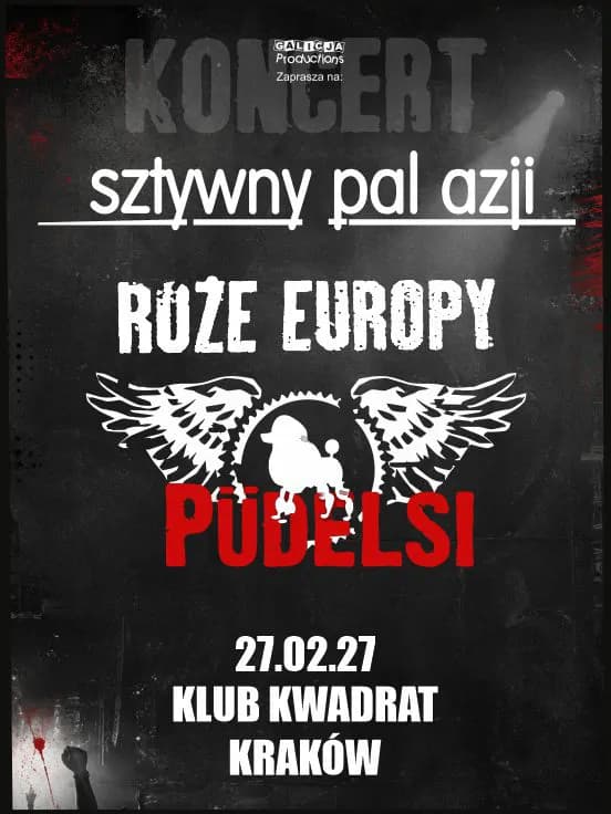Sztywny Pal Azji, Róże Europy, Püdelsi